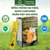 Đông trùng hạ thảo, nano curcumin ngâm mật ong rừng - Hộp 3