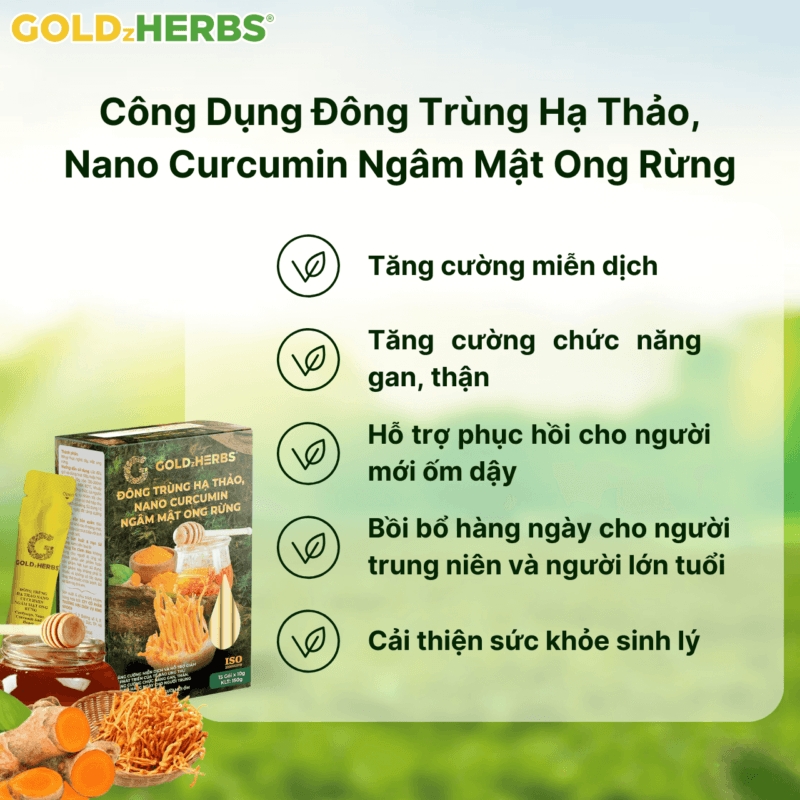 Đông trùng hạ thảo, nano curcumin ngâm mật ong rừng - Hộp 3