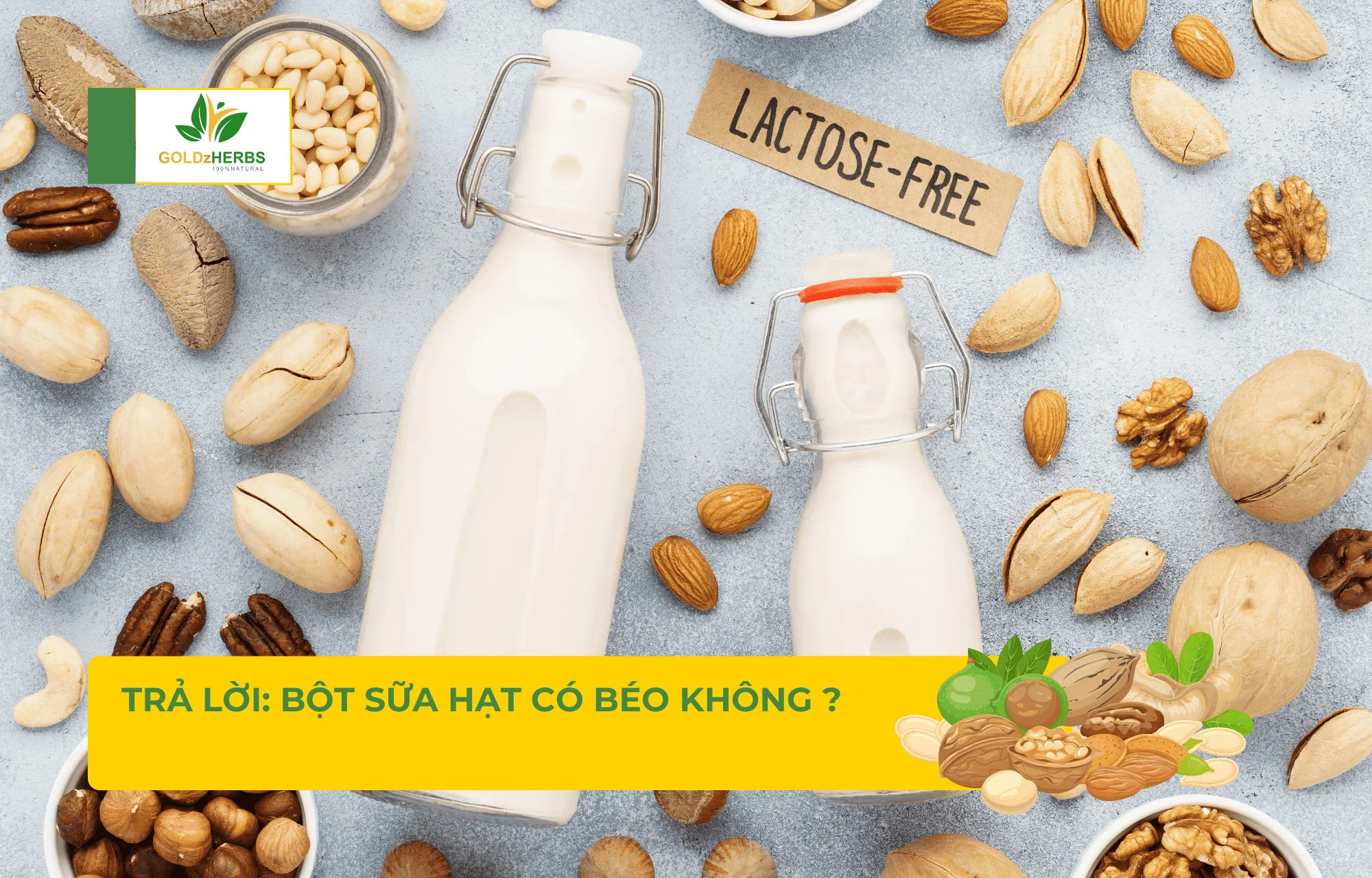 Uống Sữa Hạt Điều Có Béo Không? Tác Động Tích Cực Cho Sức Khỏe và Cân Nặng