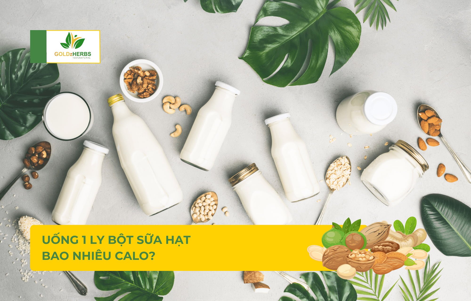 bot-sua-hat-co-beo-khong