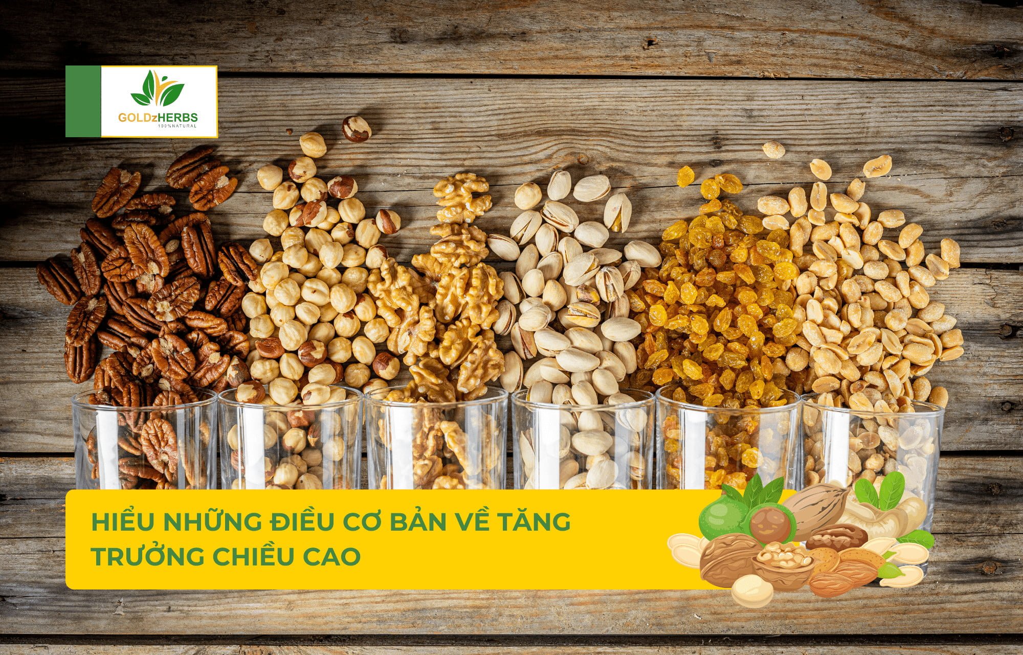 bot-sua-hat-co-tang-chieu-cao-khong