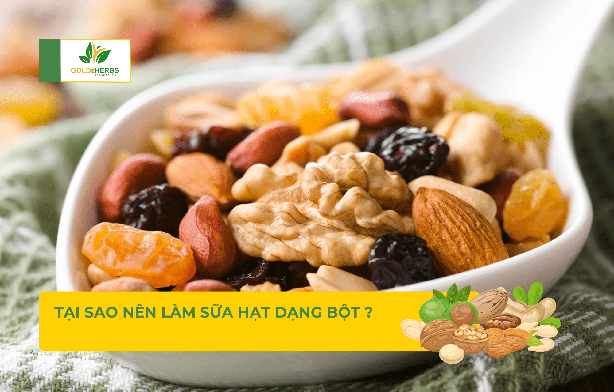 Lợi ích sức khỏe từ sữa hạt dạng bột