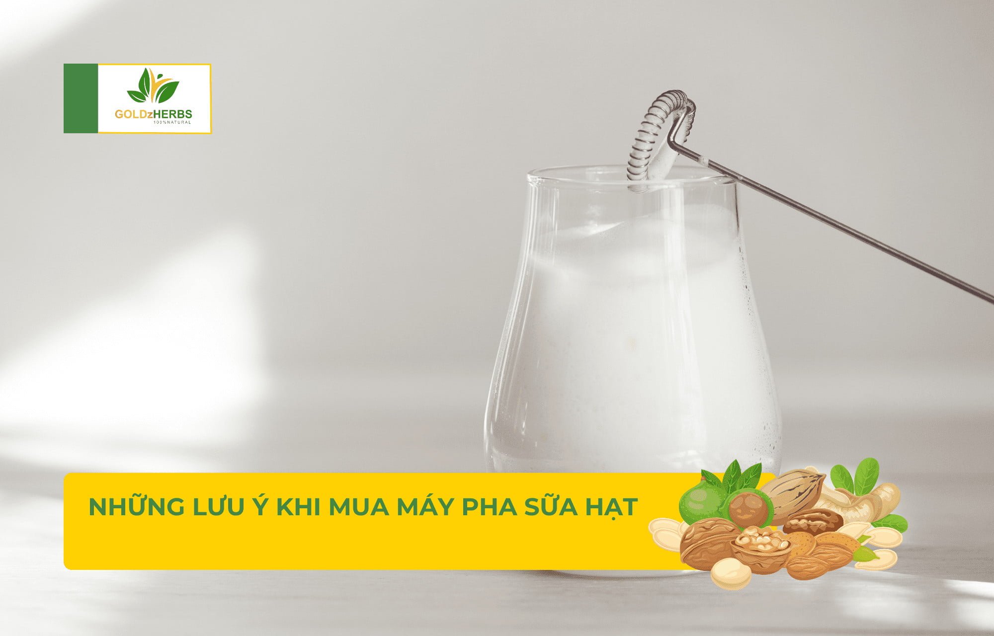 loai-may-pha-sua-hat