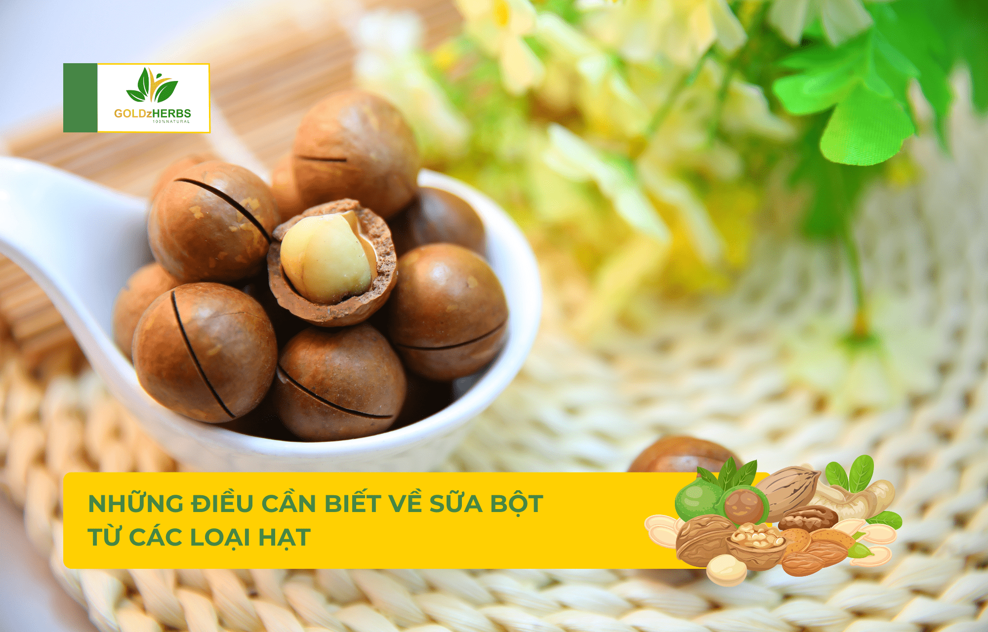 sua-bot-cac-loai-hat