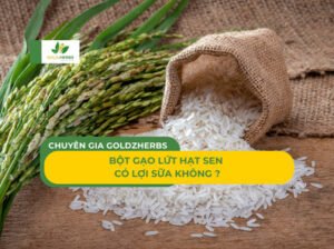 bot-gao-lut-hat-sen-co-loi-sua