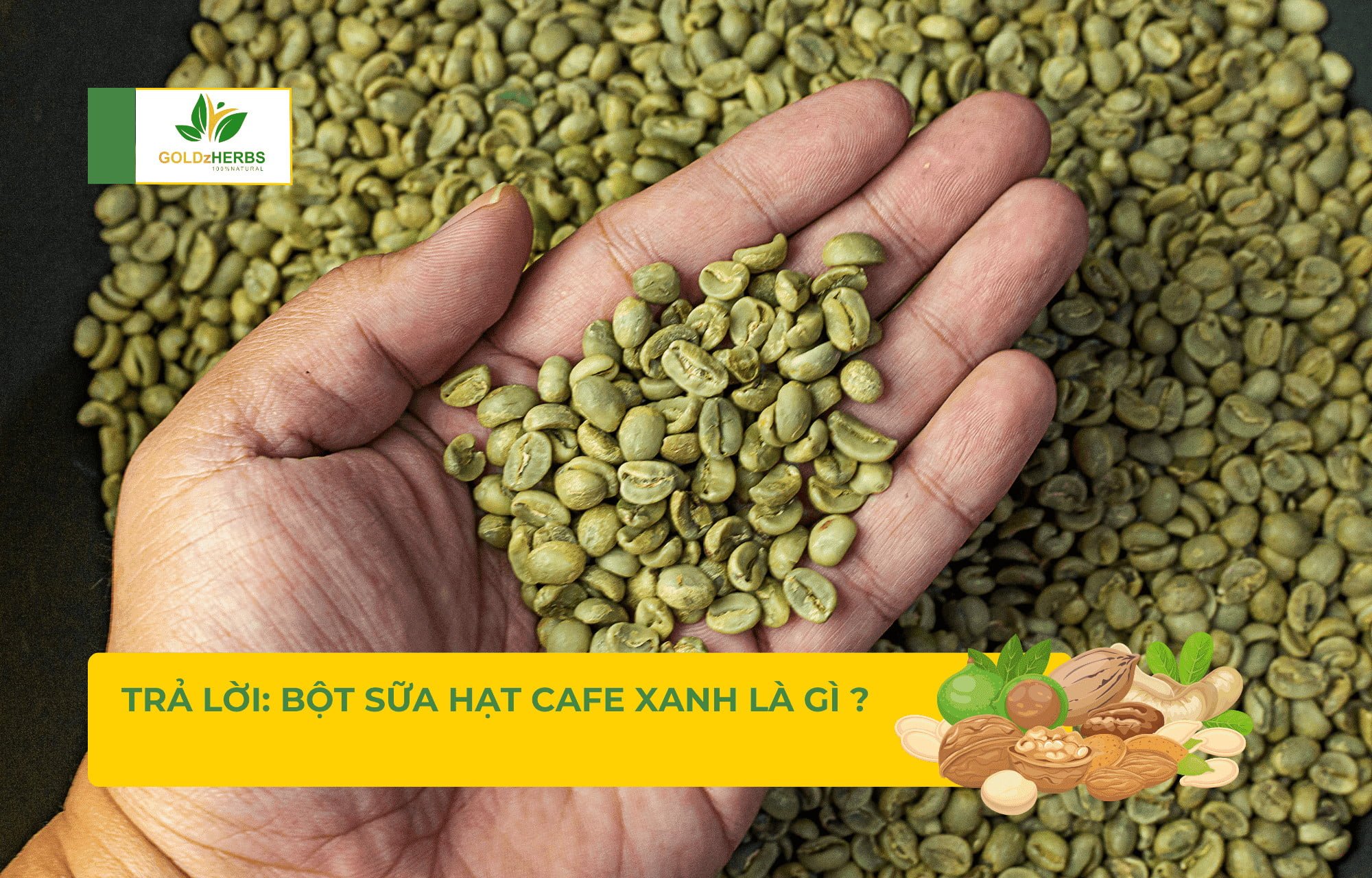 bot-sua-hat-cafe-xanh