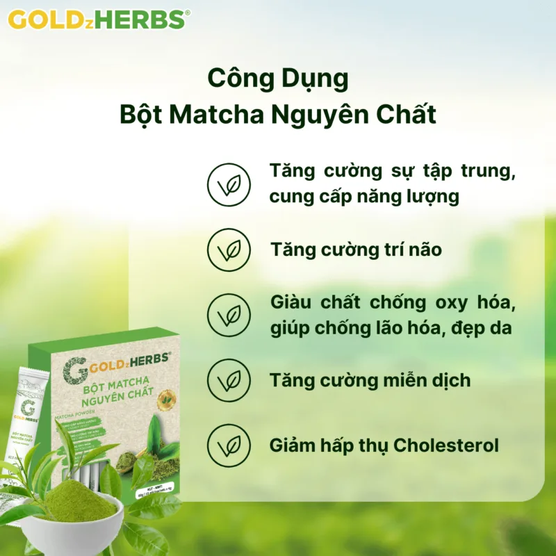 bot-matcha-nguyen-chat