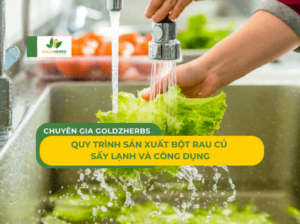 quy-trinh-san-xuat-bot-rau-cu-say-lanh