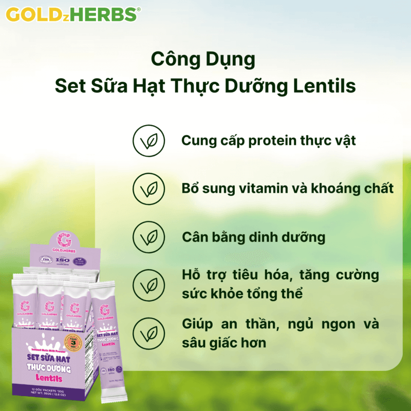 set-sua-hat-thuc-duong-lentils (1)