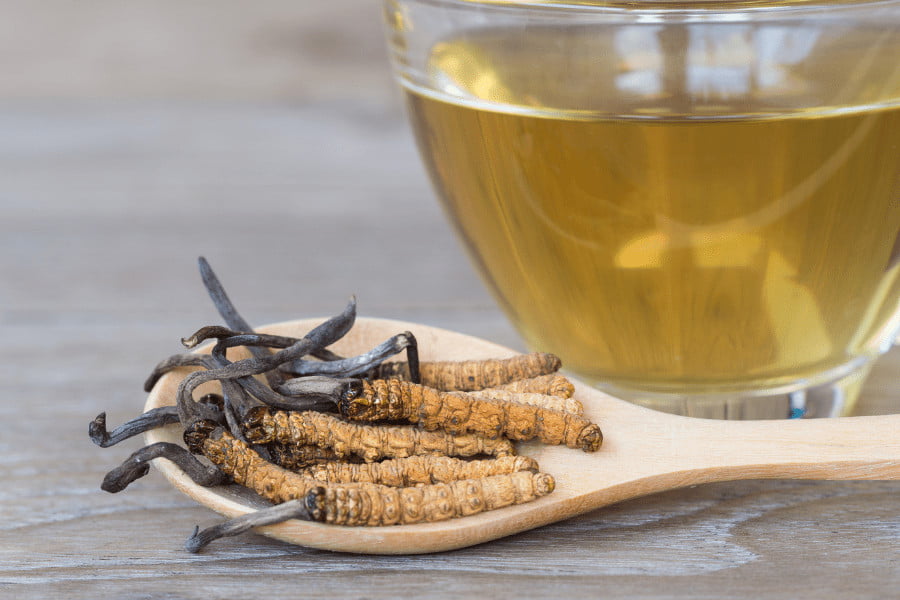 tra-dong-trung-ha-thao (1)