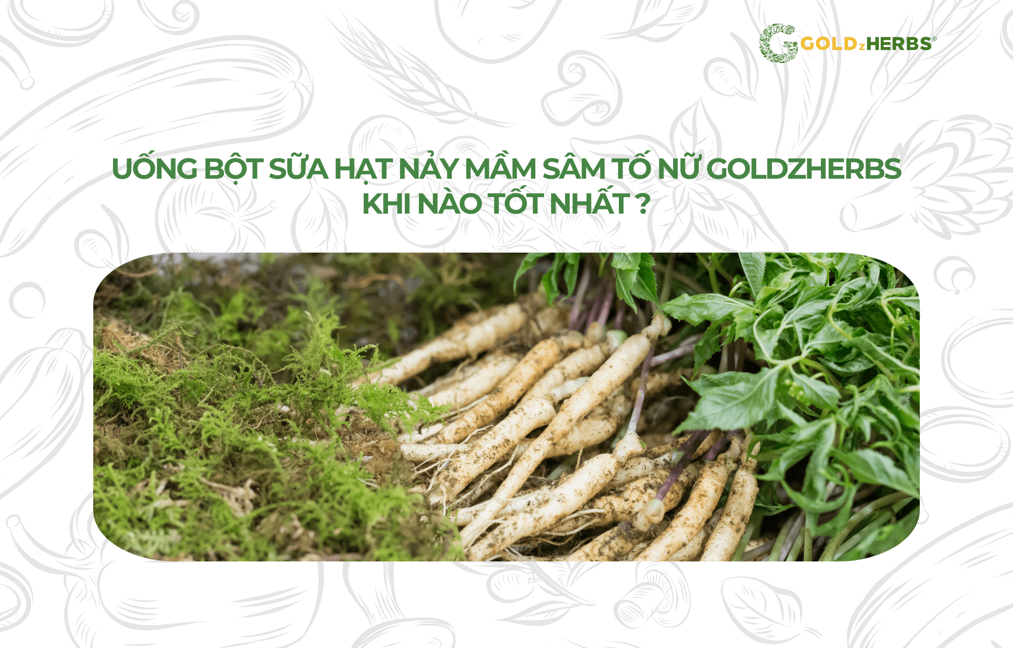 bot-sua-hat-nay-mam-sam-to-nu-goldzherbs (4)