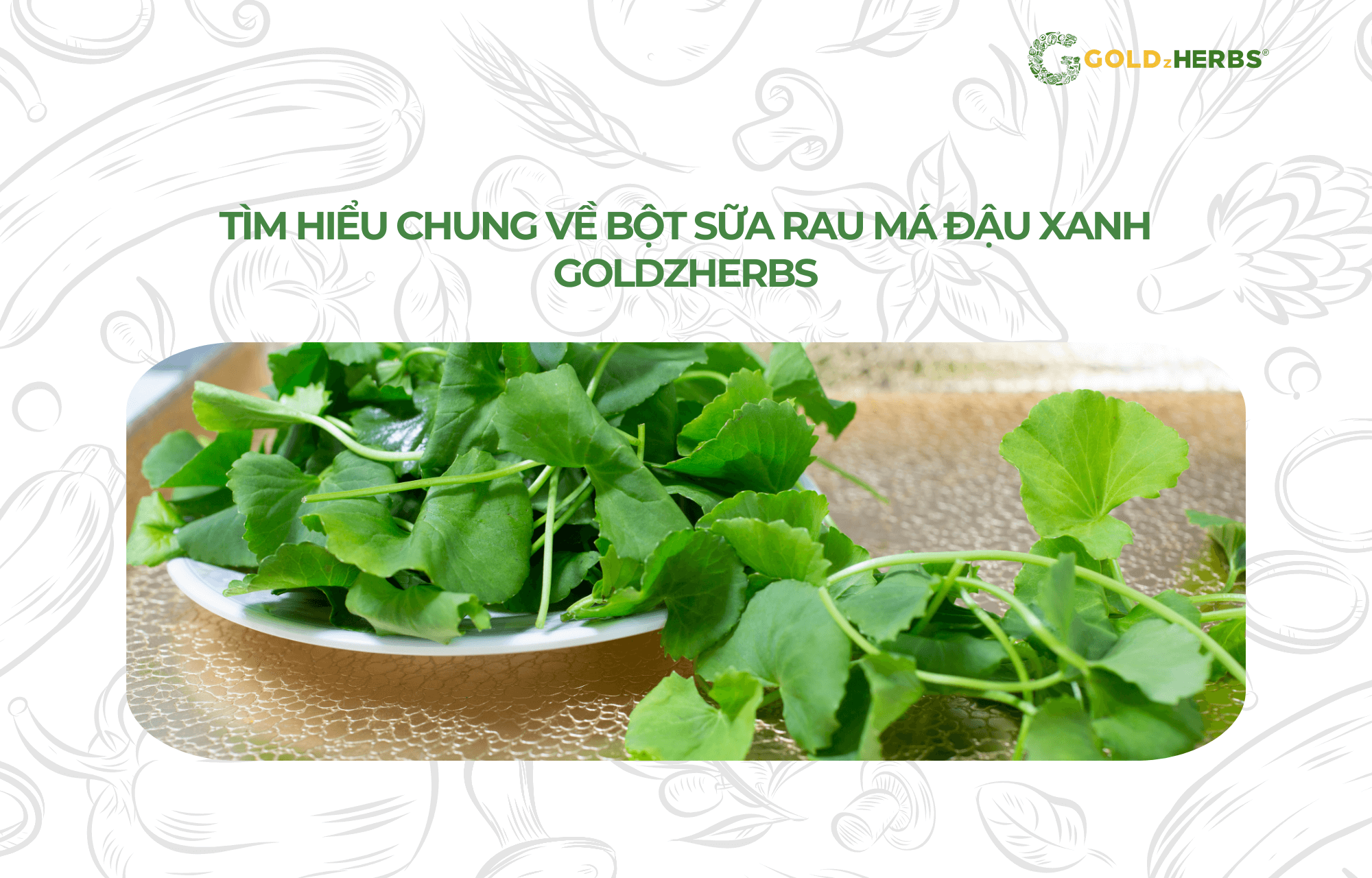 bot-sua-rau-ma-dau-xanh-goldzherbs (1)