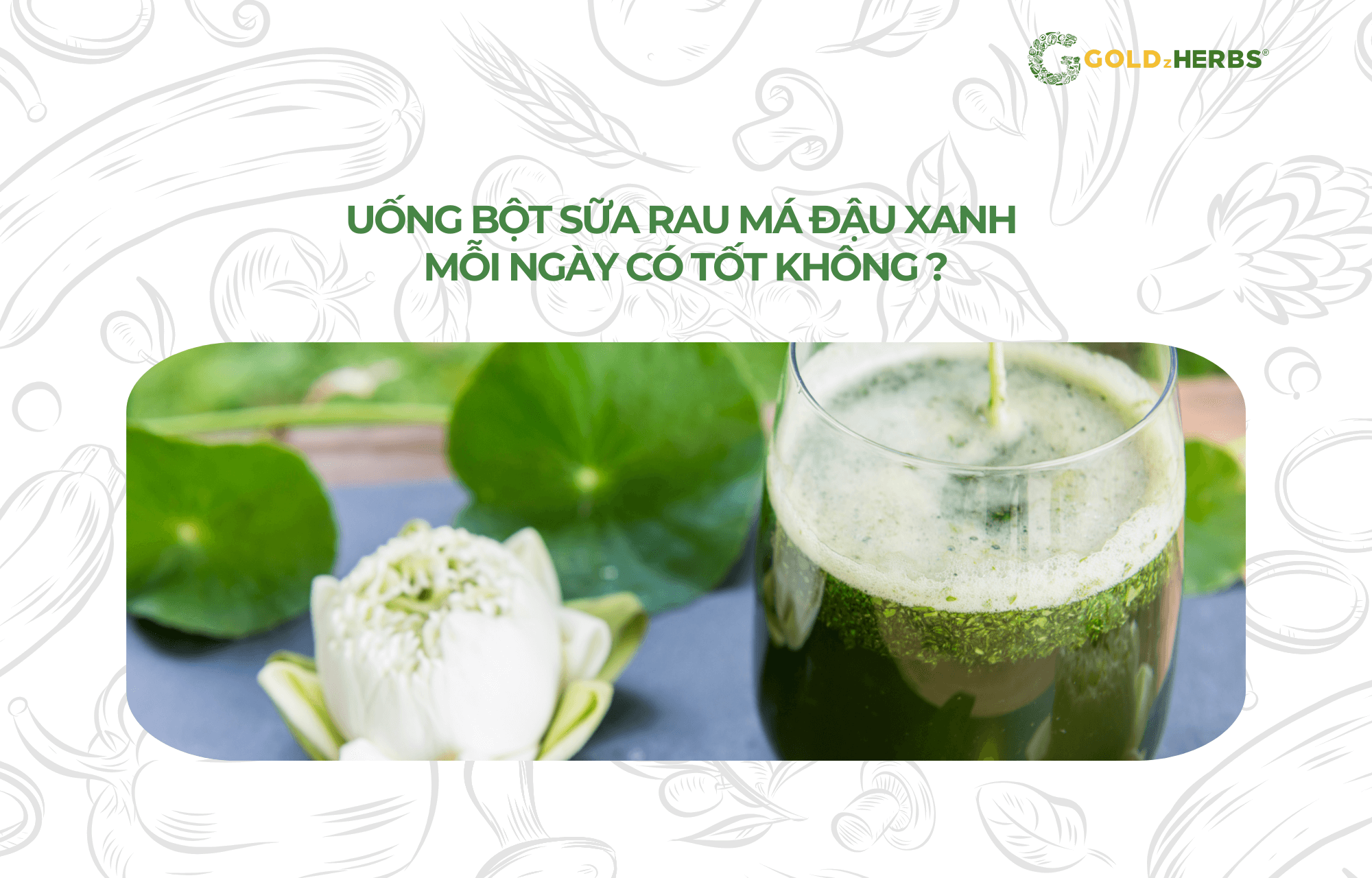 bot-sua-rau-ma-dau-xanh-goldzherbs (1)