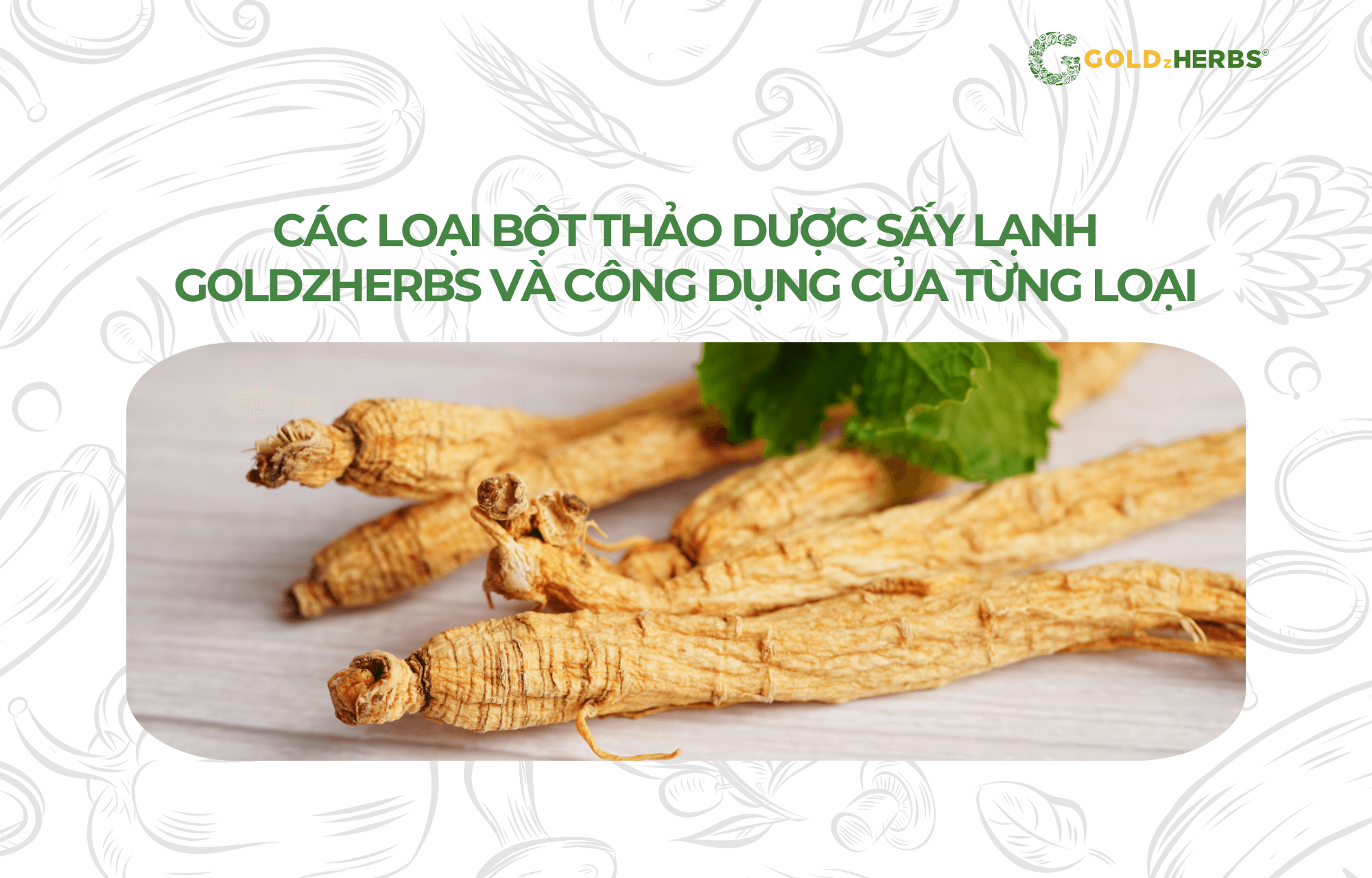 bot-thao-duoc-say-lanh-goldzherbs (1)
