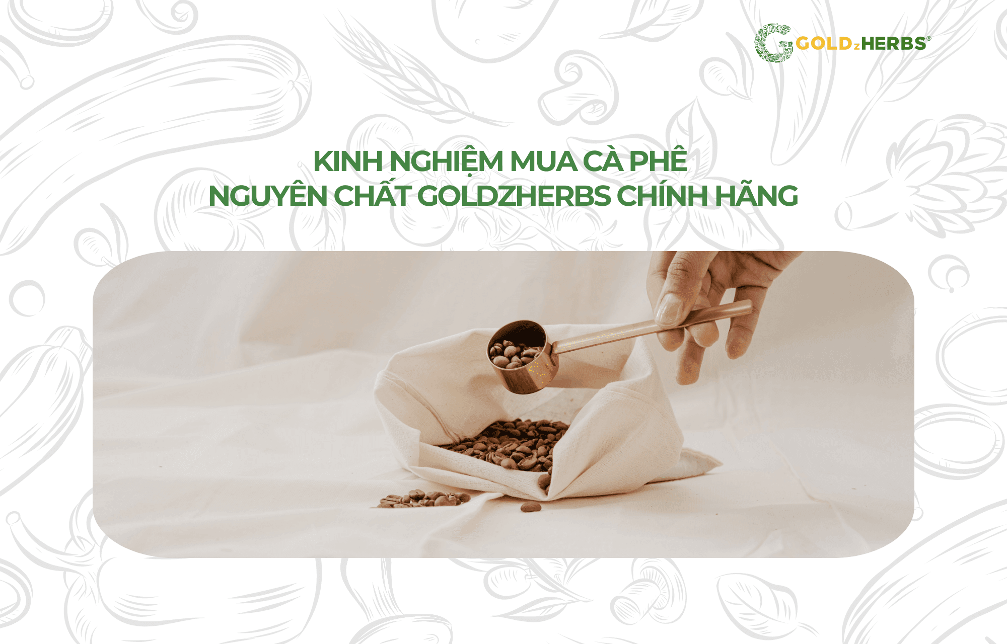 ca-phe-nguyen-chat-goldzherbs (4)