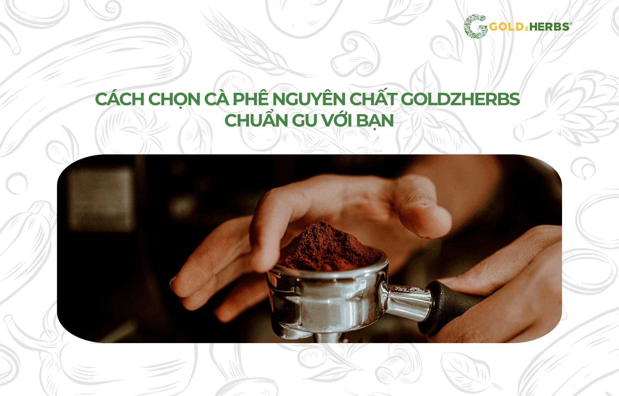 ca-phe-nguyen-chat-goldzherbs (4)