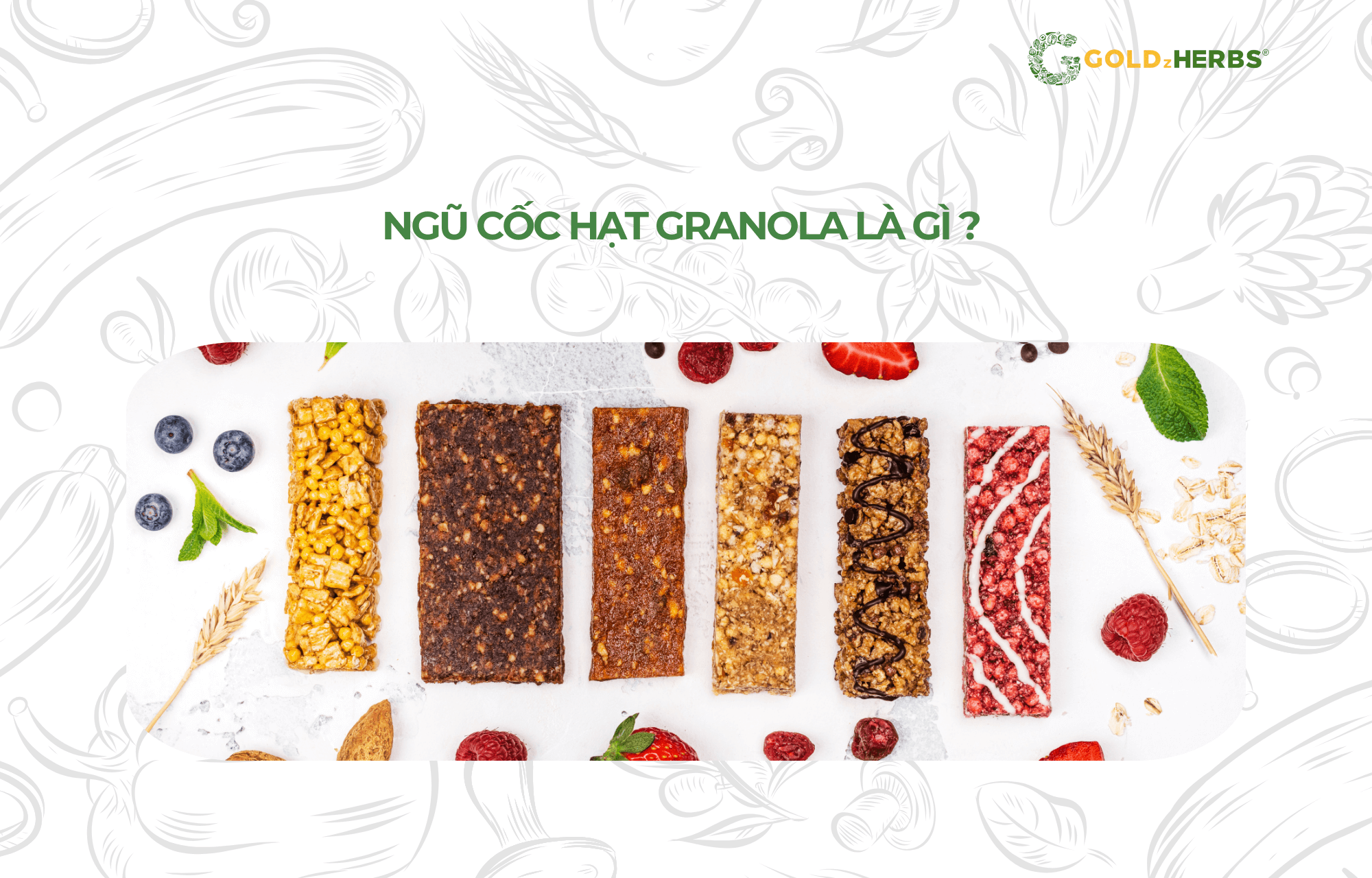 ngu-coc-hat-granola (1)