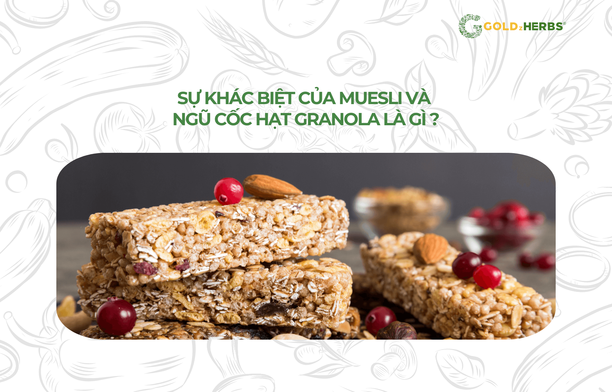 ngu-coc-hat-granola (1)