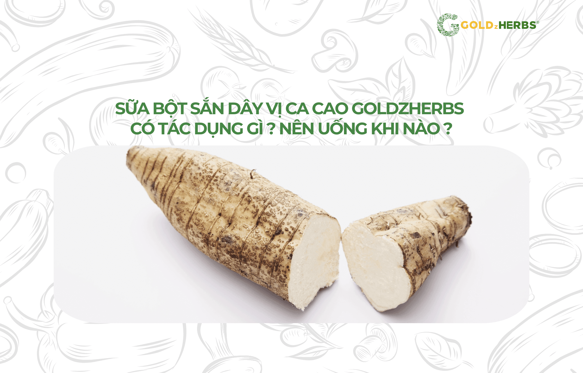 sua-bot-san-day-vi-ca-cacao-goldzherbs (2)