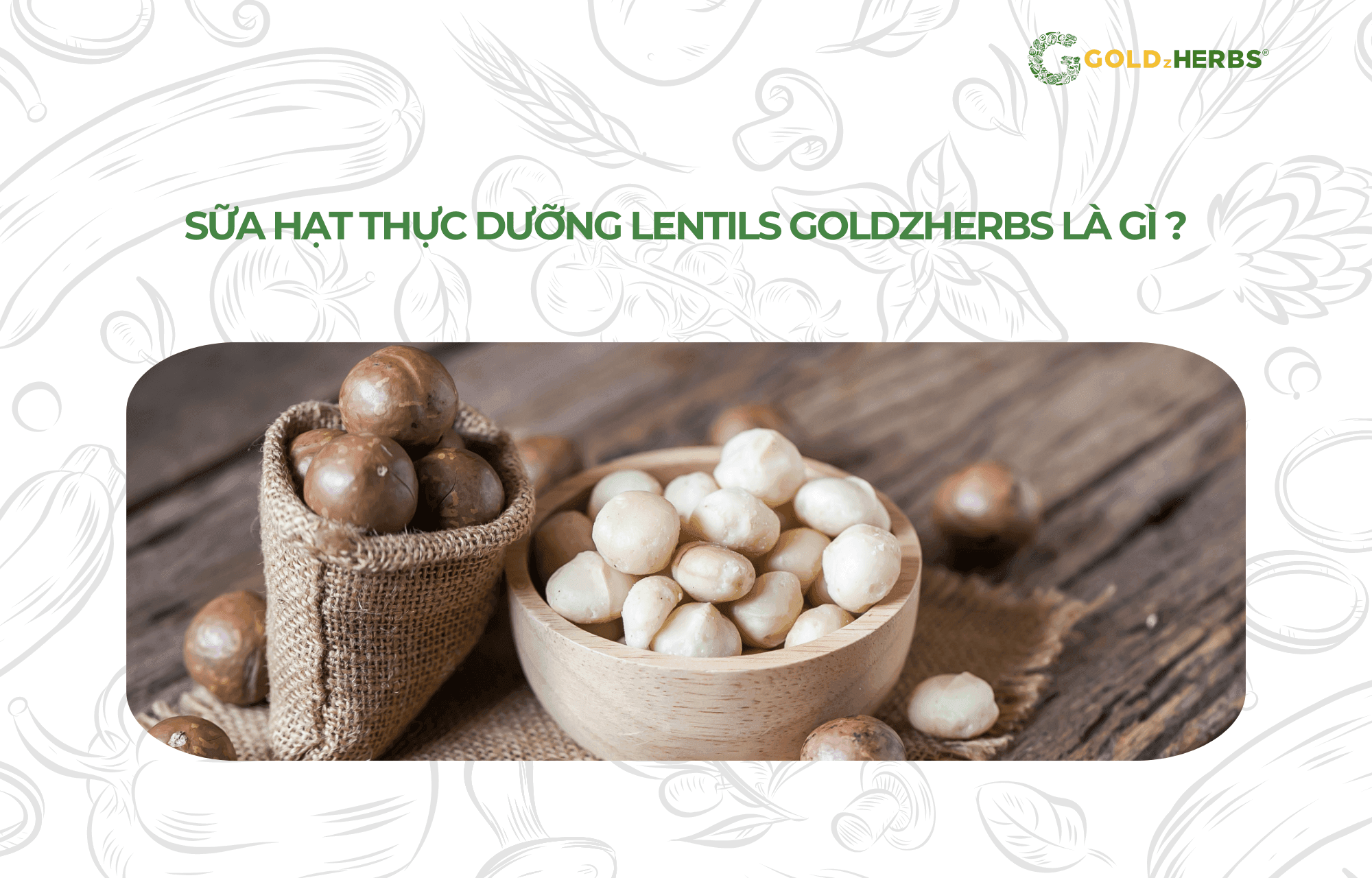 sua-hat-thuc-duong-Lentils-Goldzherbs (1)