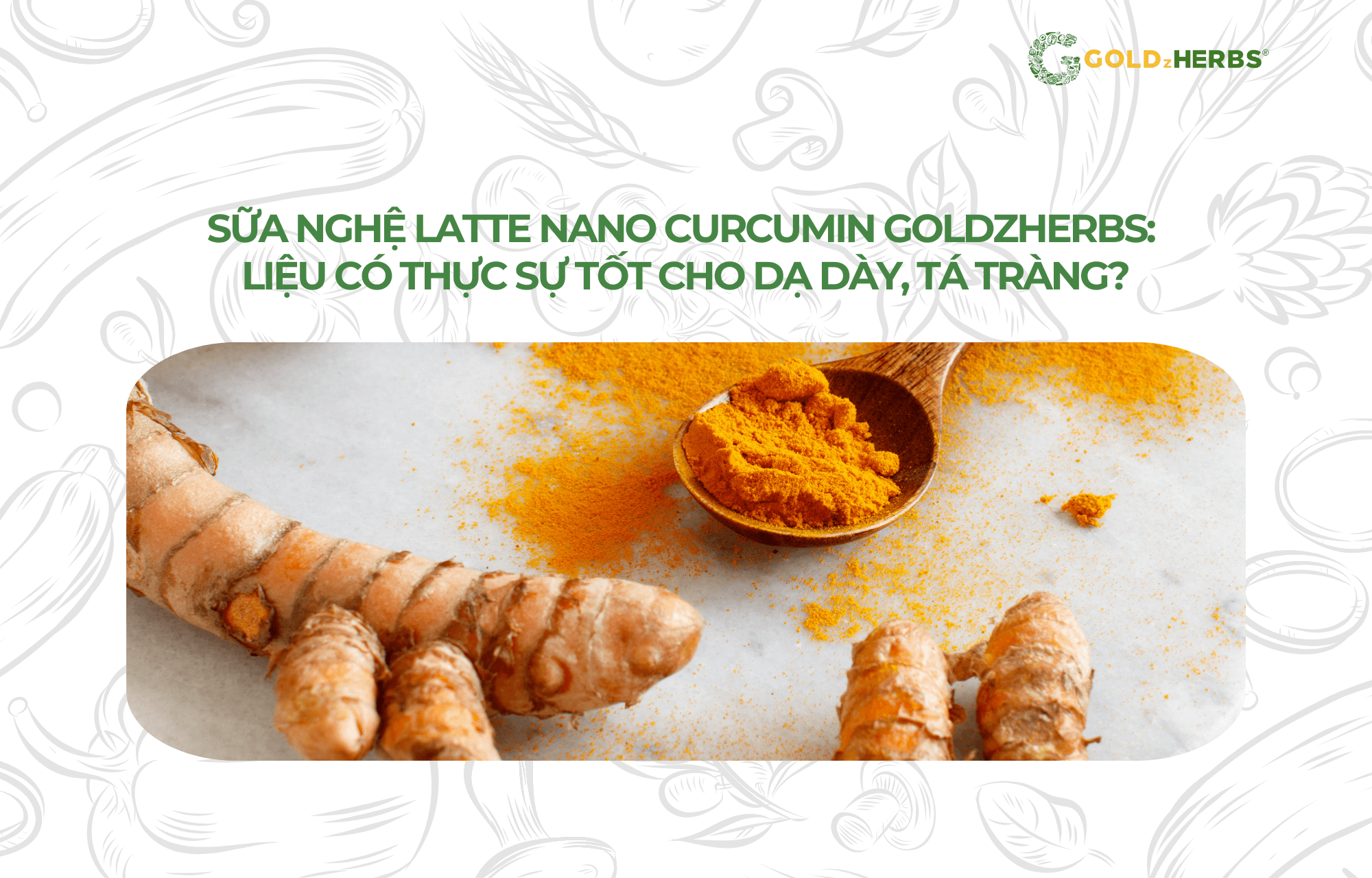 sua-nghe-Latte-Nano-Curcumin-Goldzherbs (4)