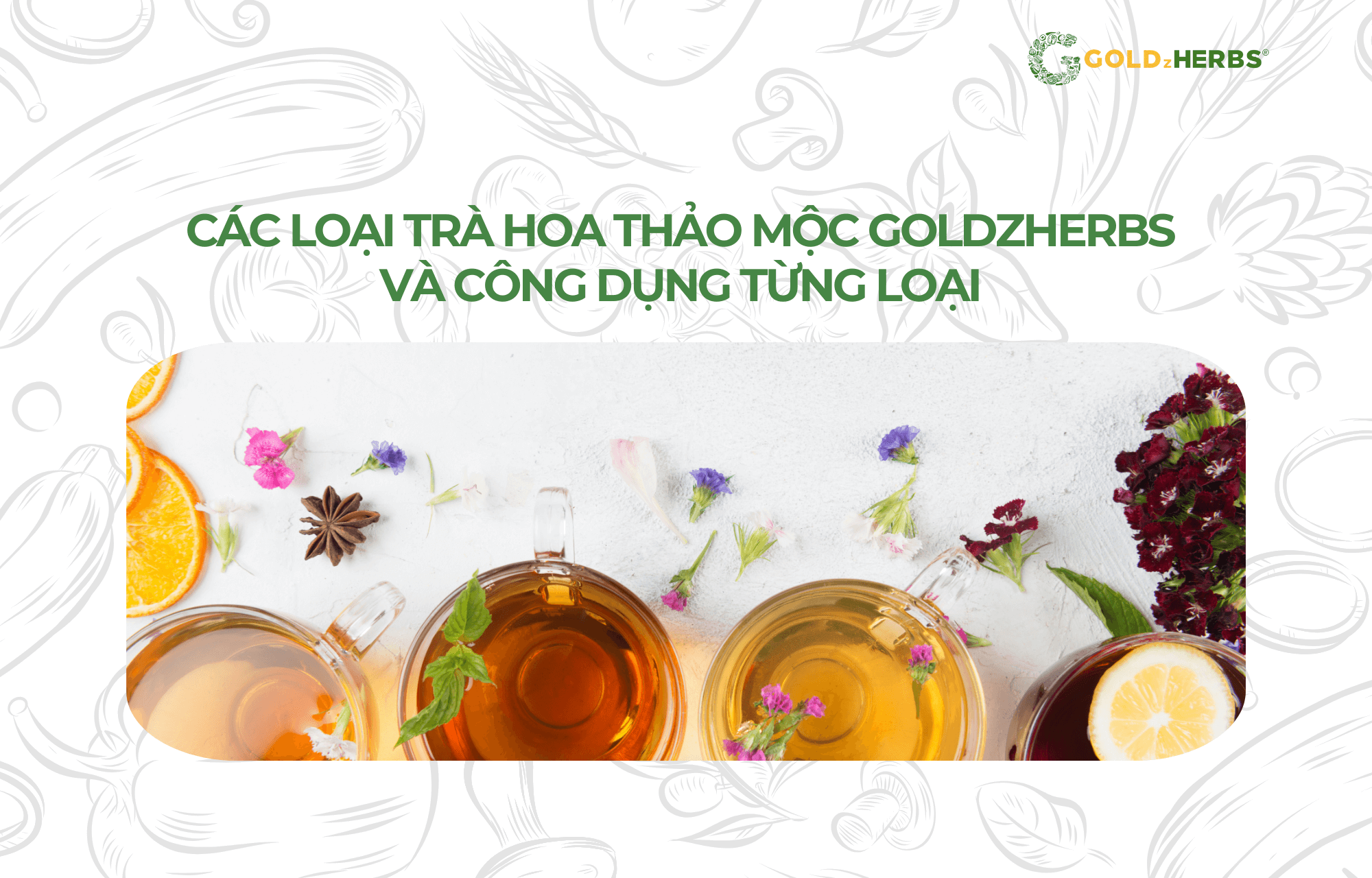 tra-hoa-thao-moc-goldzherbs (1)