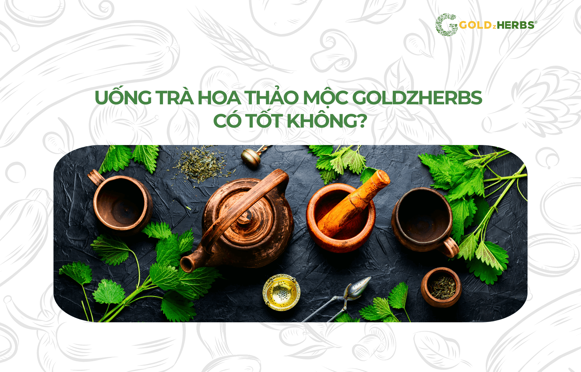tra-hoa-thao-moc-goldzherbs (1)