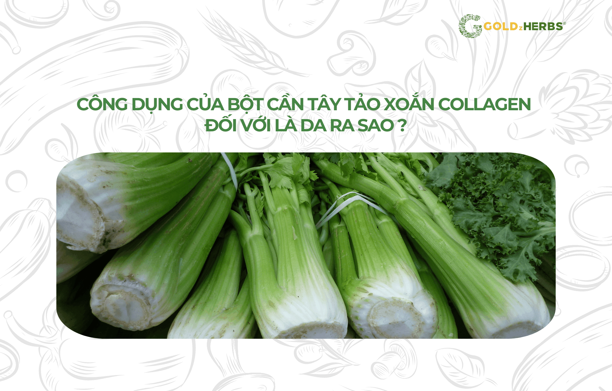 bot-can-tay-tao-xoan-collagen (1)
