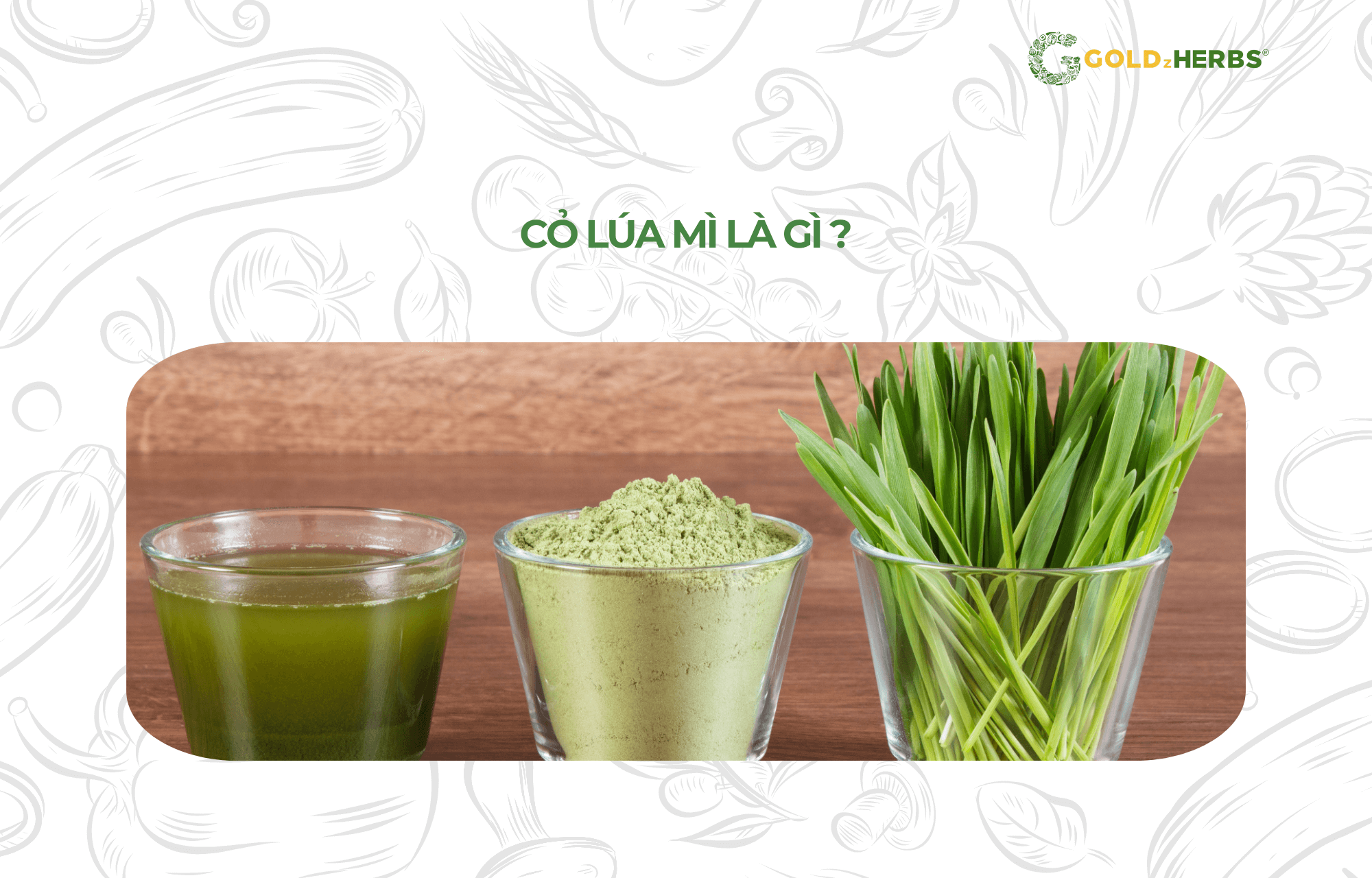 bot-co-lua-mi-huu-co-say-lanh-goldzherbs (1)