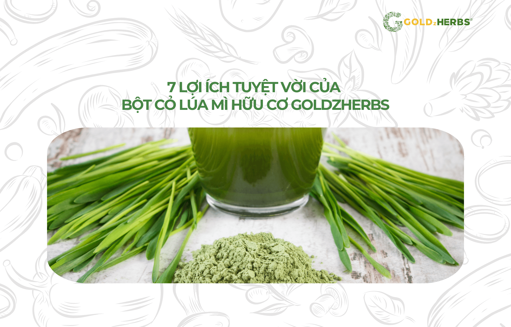 bot-co-lua-mi-huu-co-say-lanh-goldzherbs (1)