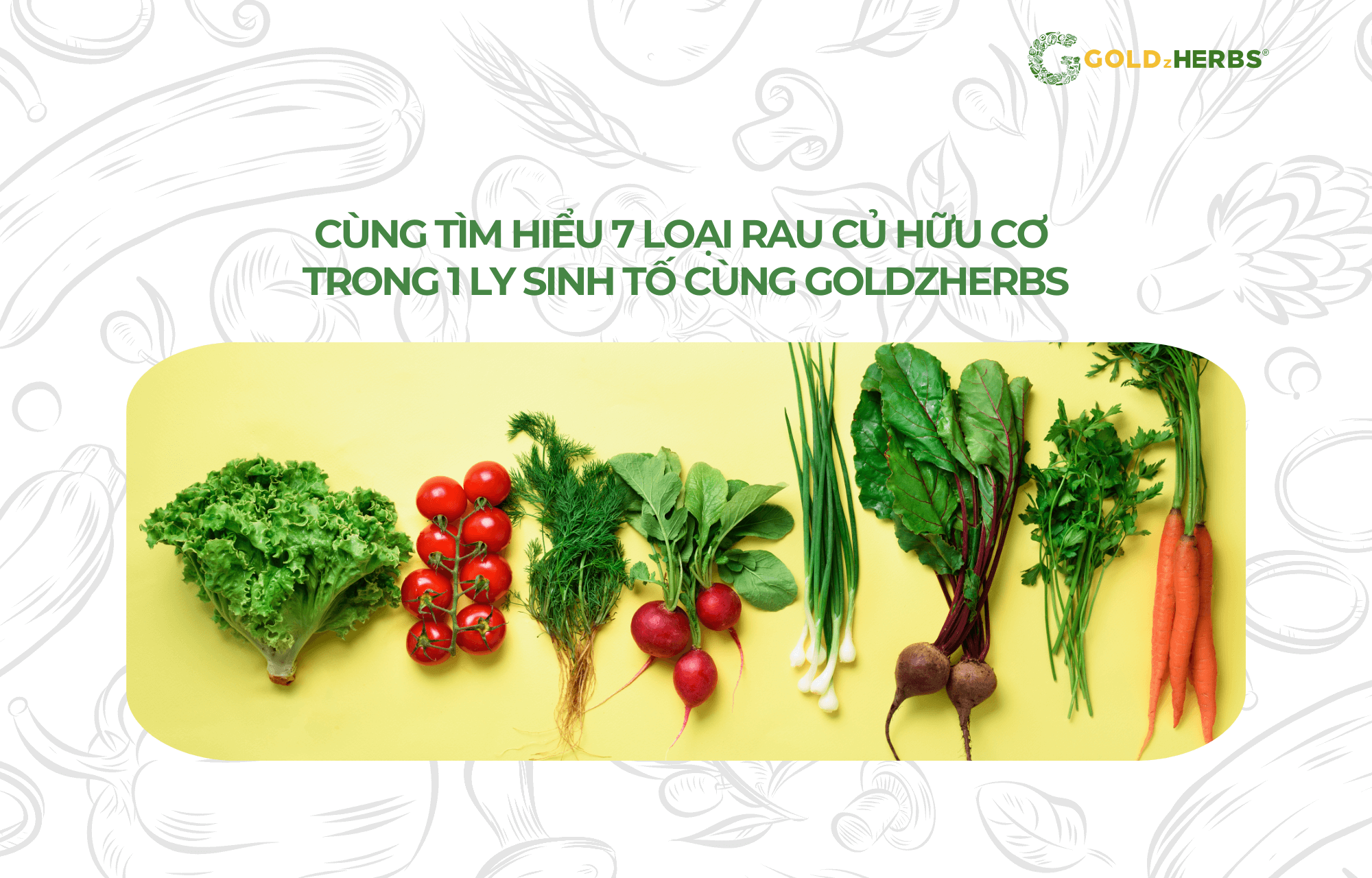 bot-rau-cu-7-vi-goldzherbs (4)