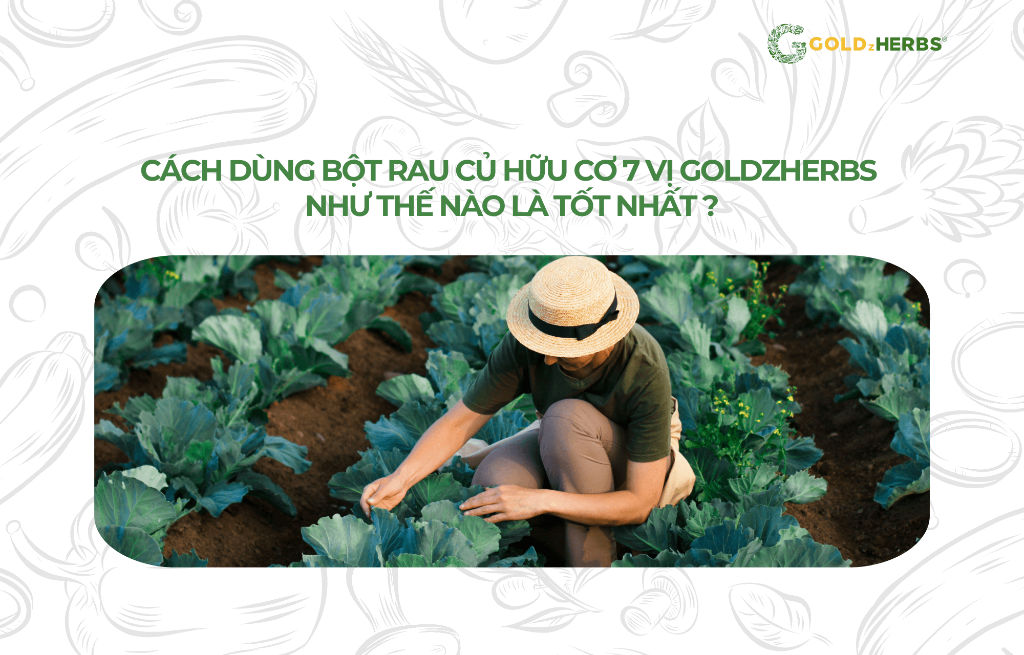 bot-rau-cu-7-vi-goldzherbs (4)