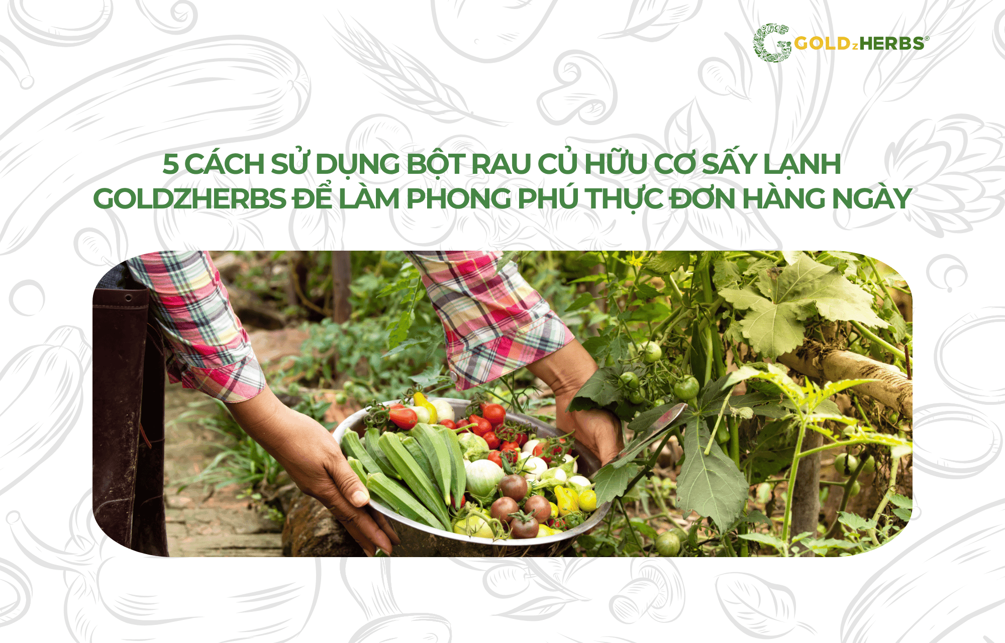 bot-rau-cu-huu-co-Goldzherbs (1)