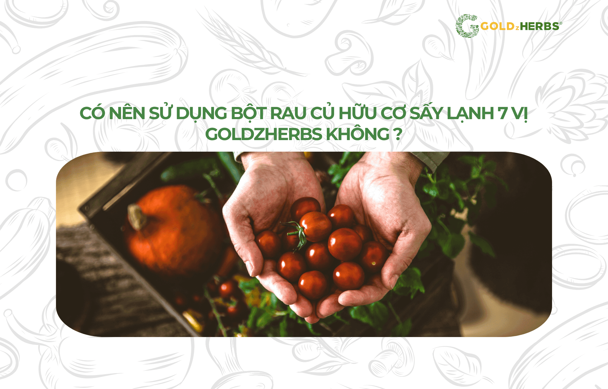 bot-rau-cu-huu-co-Goldzherbs (1)