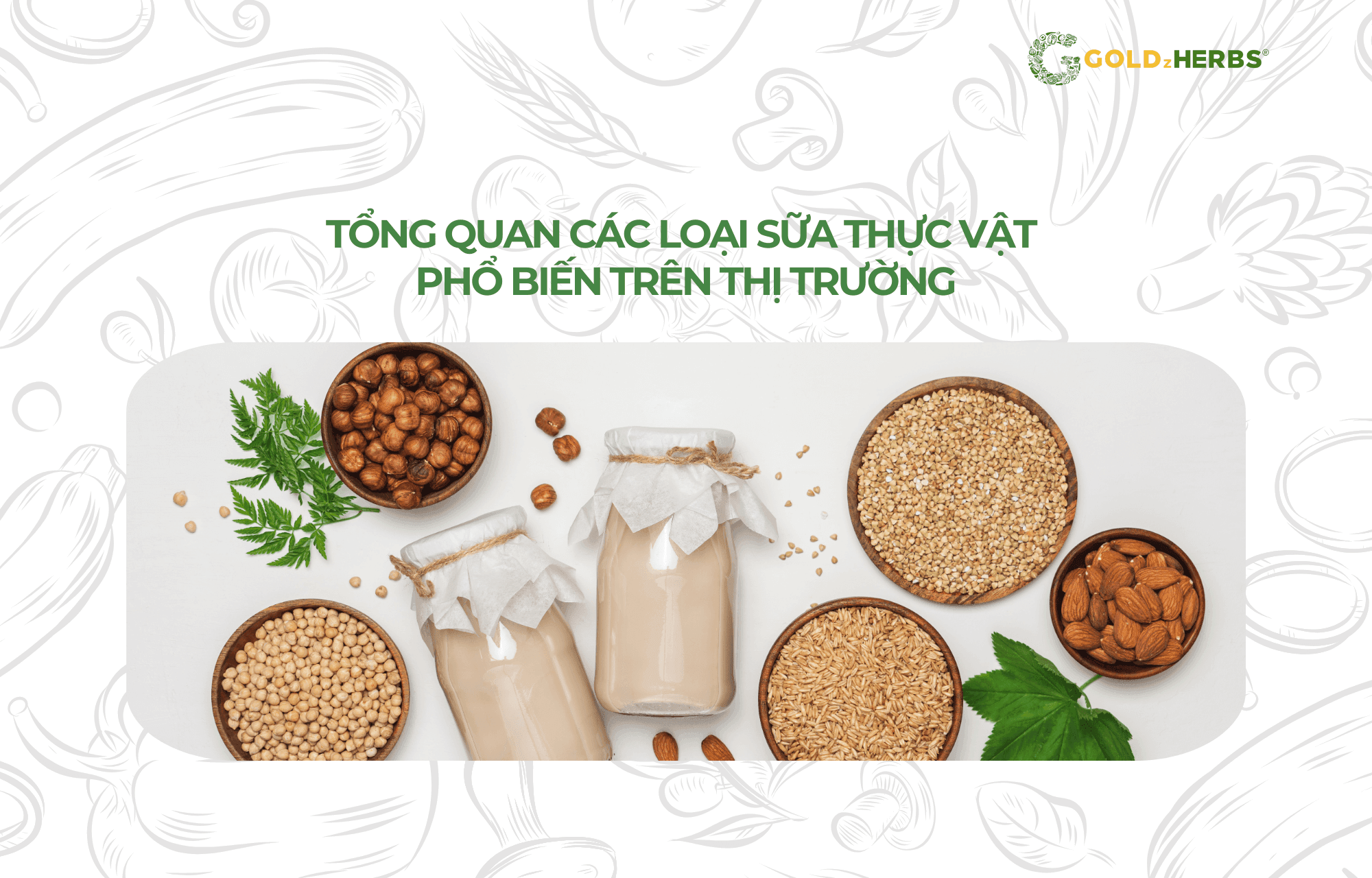 cac-loai-sua-thuc-vat-tren-thi-truong (4)