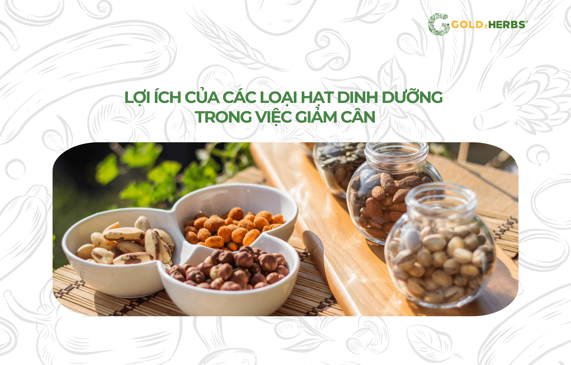 hat-dinh-duong-cho-nguoi-an-kieng (1)