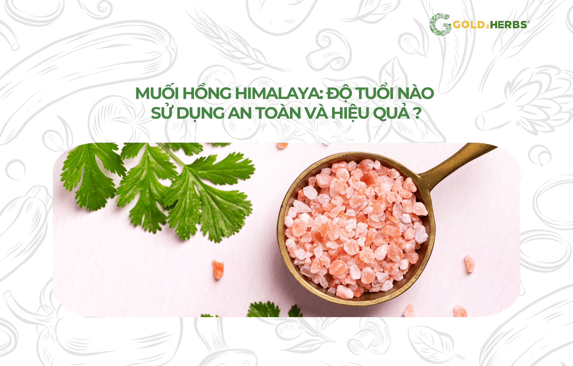 muoi-hong-Himalaya (1)