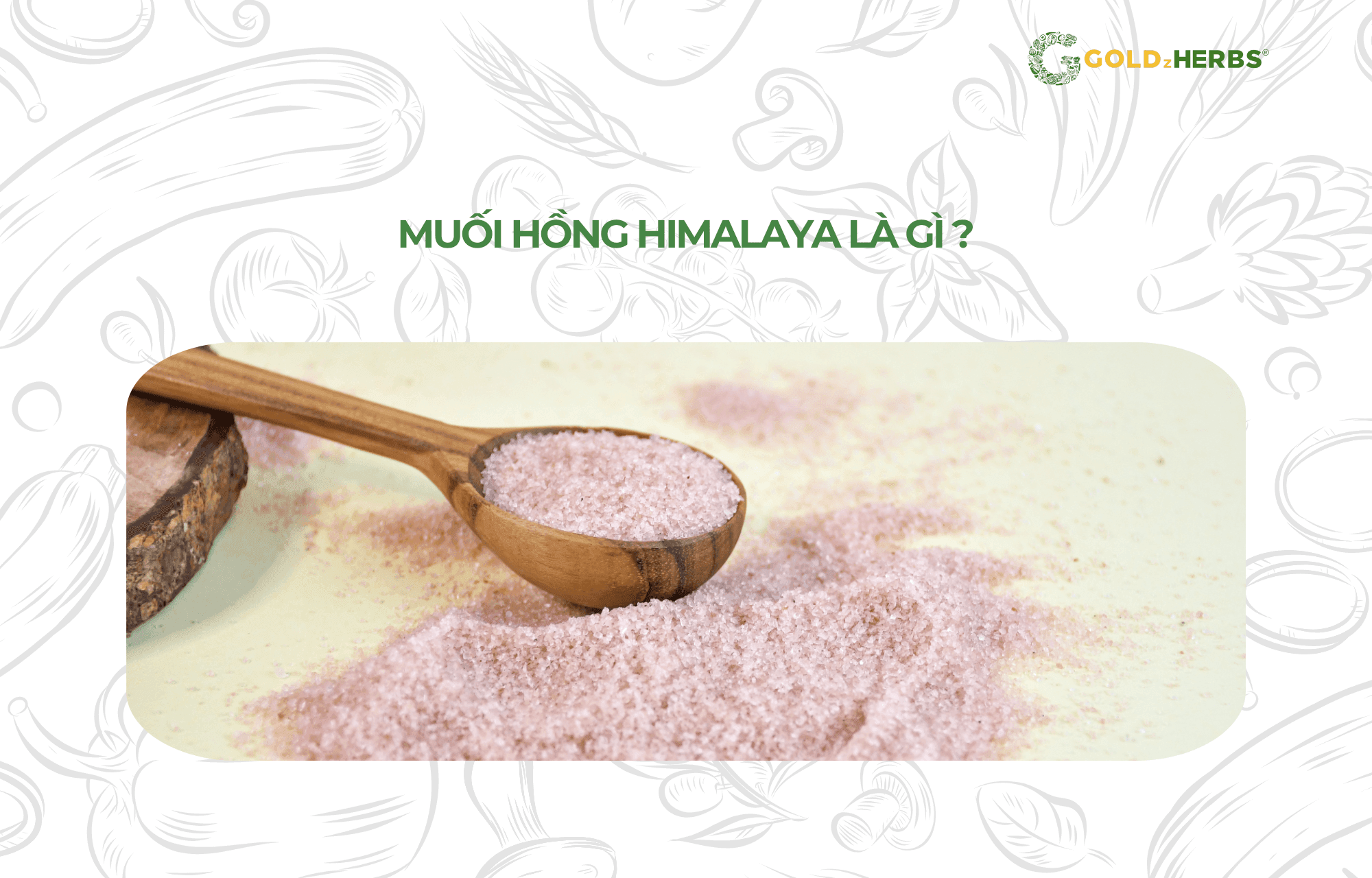 muoi-hong-Himalaya (1)