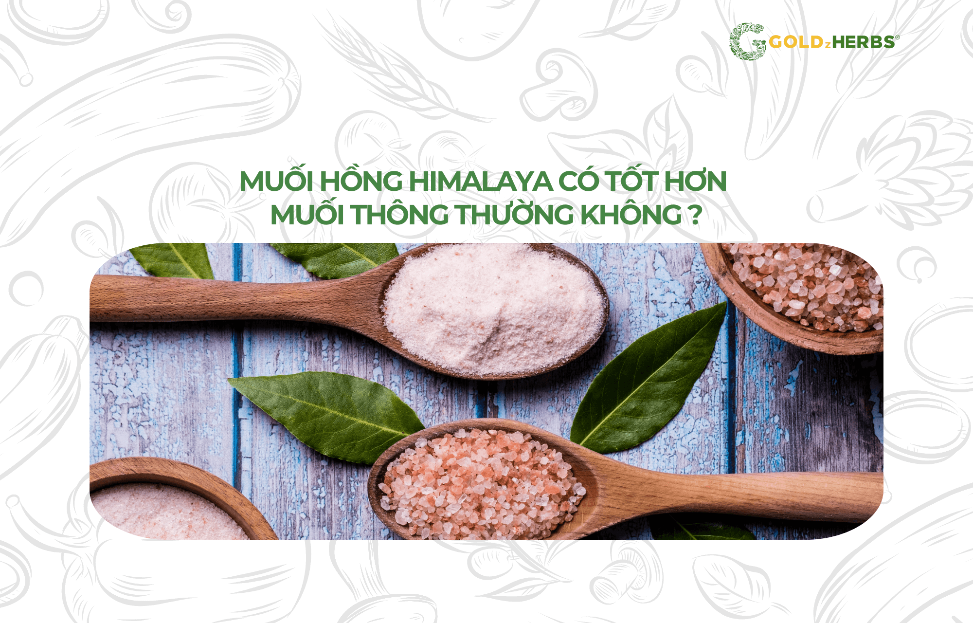 muoi-hong-Himalaya (1)