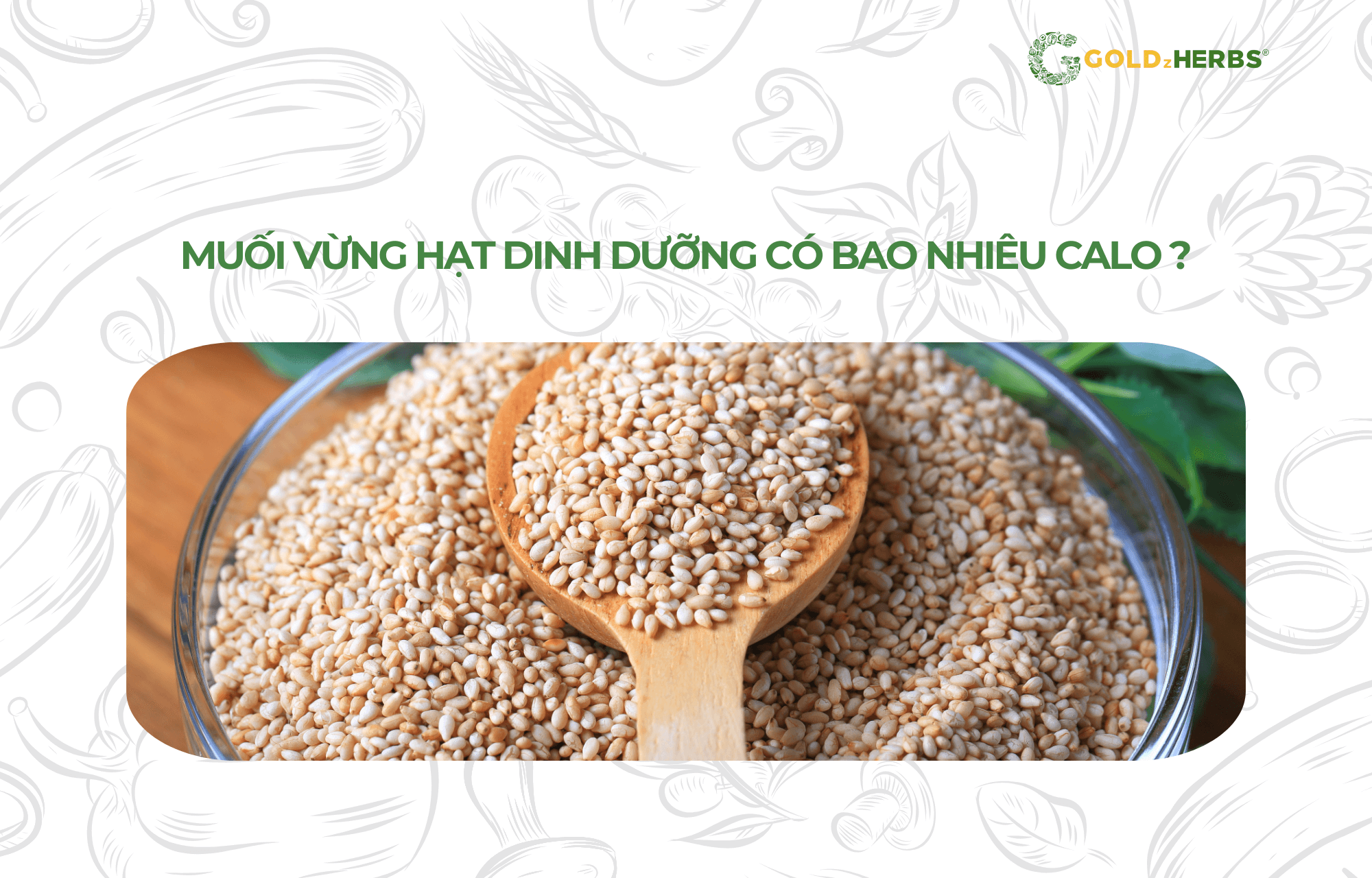 muoi-vung-hat-dinh-duong (1)