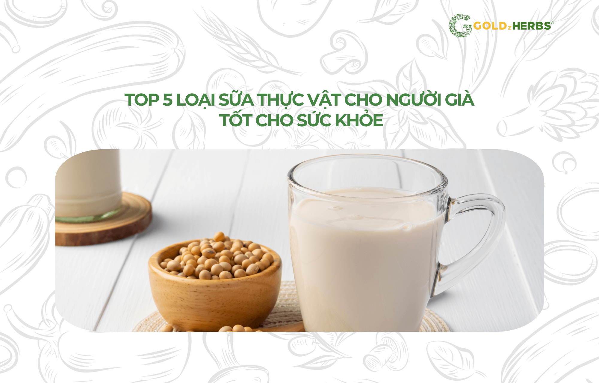 sua-thuc-vat-cho-nguoi-gia (1)