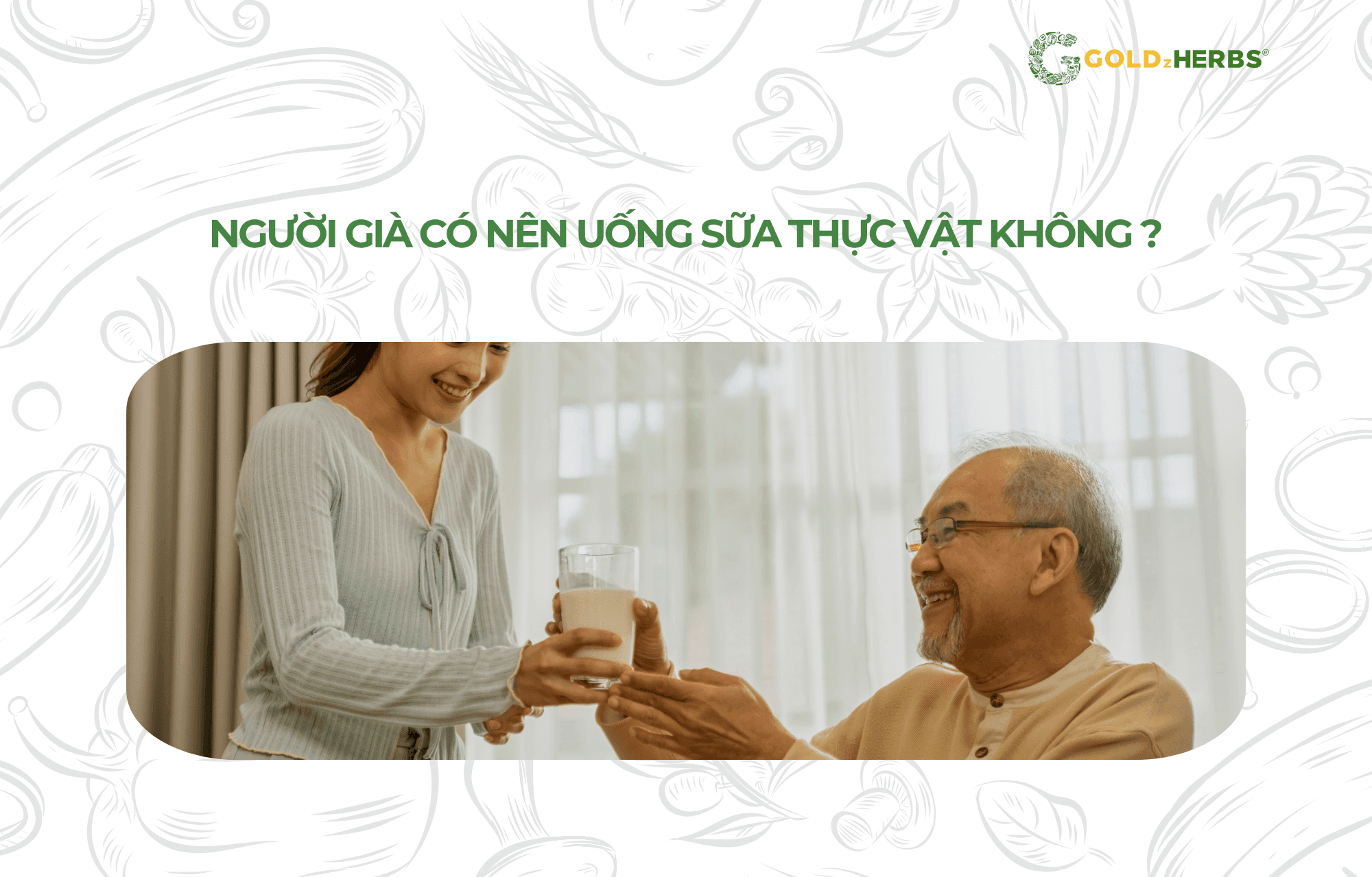 sua-thuc-vat-cho-nguoi-gia (1)