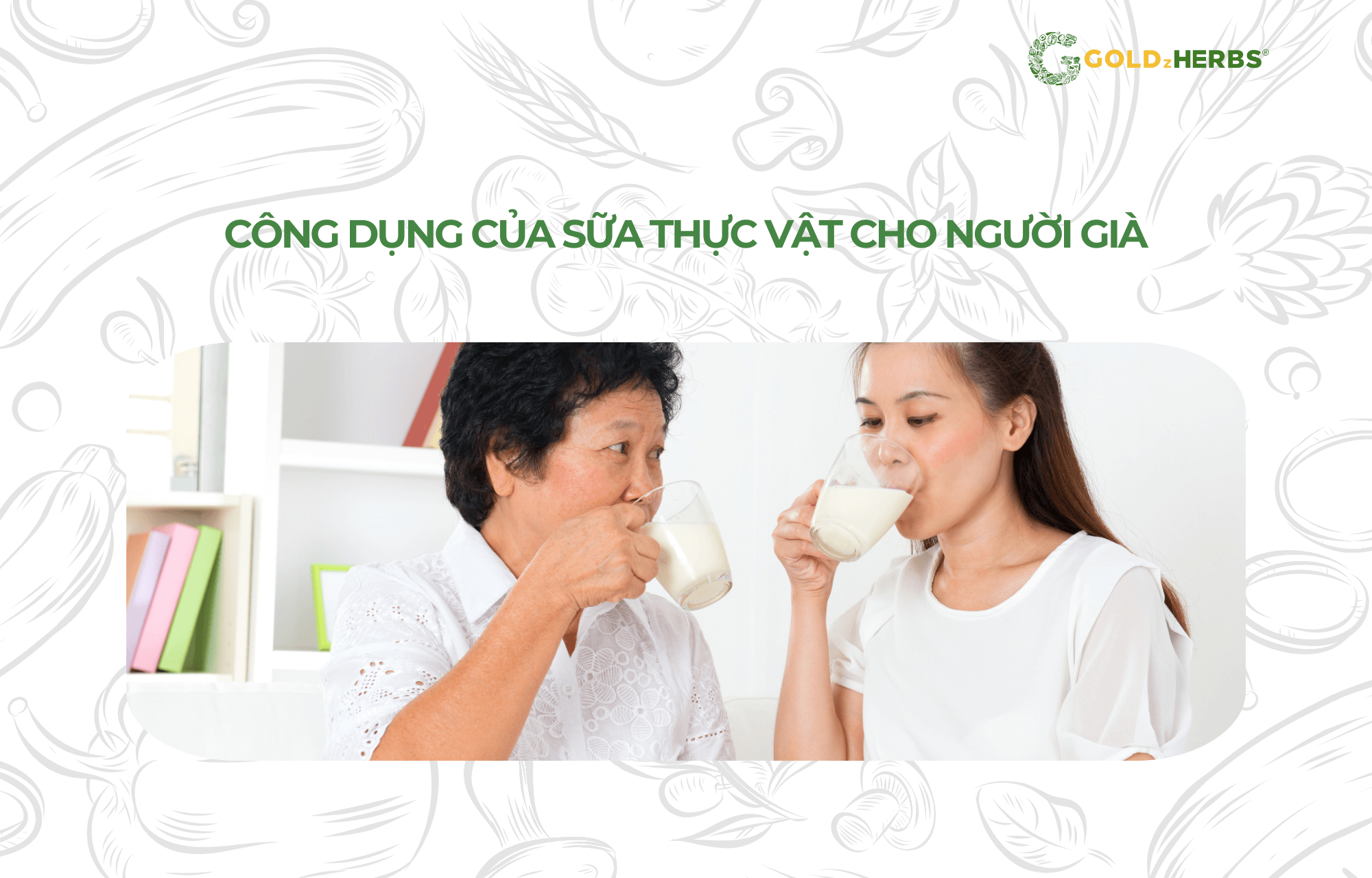 sua-thuc-vat-cho-nguoi-gia (1)