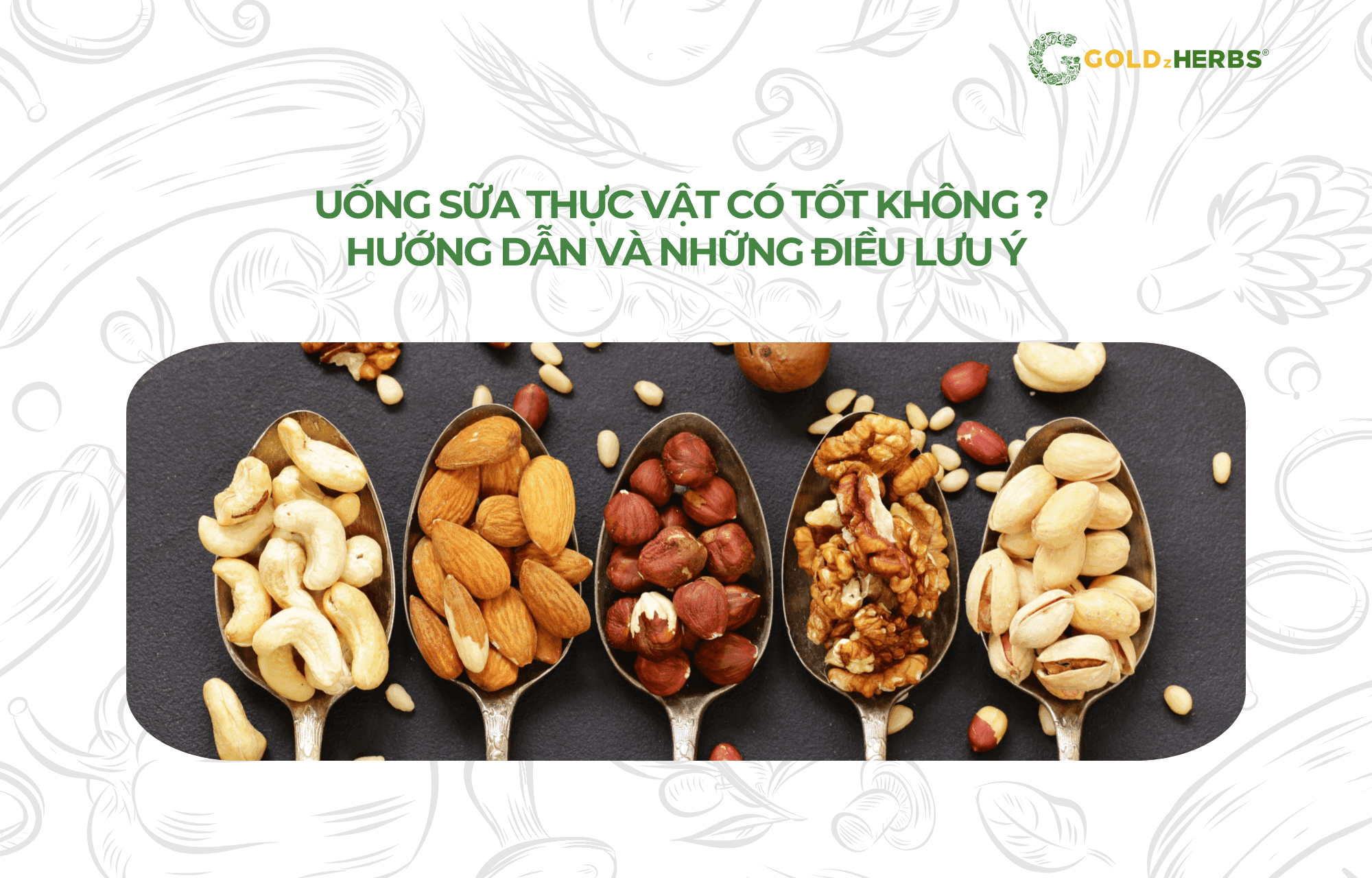 sua-thuc-vat-sua-hat-la-gi (2)