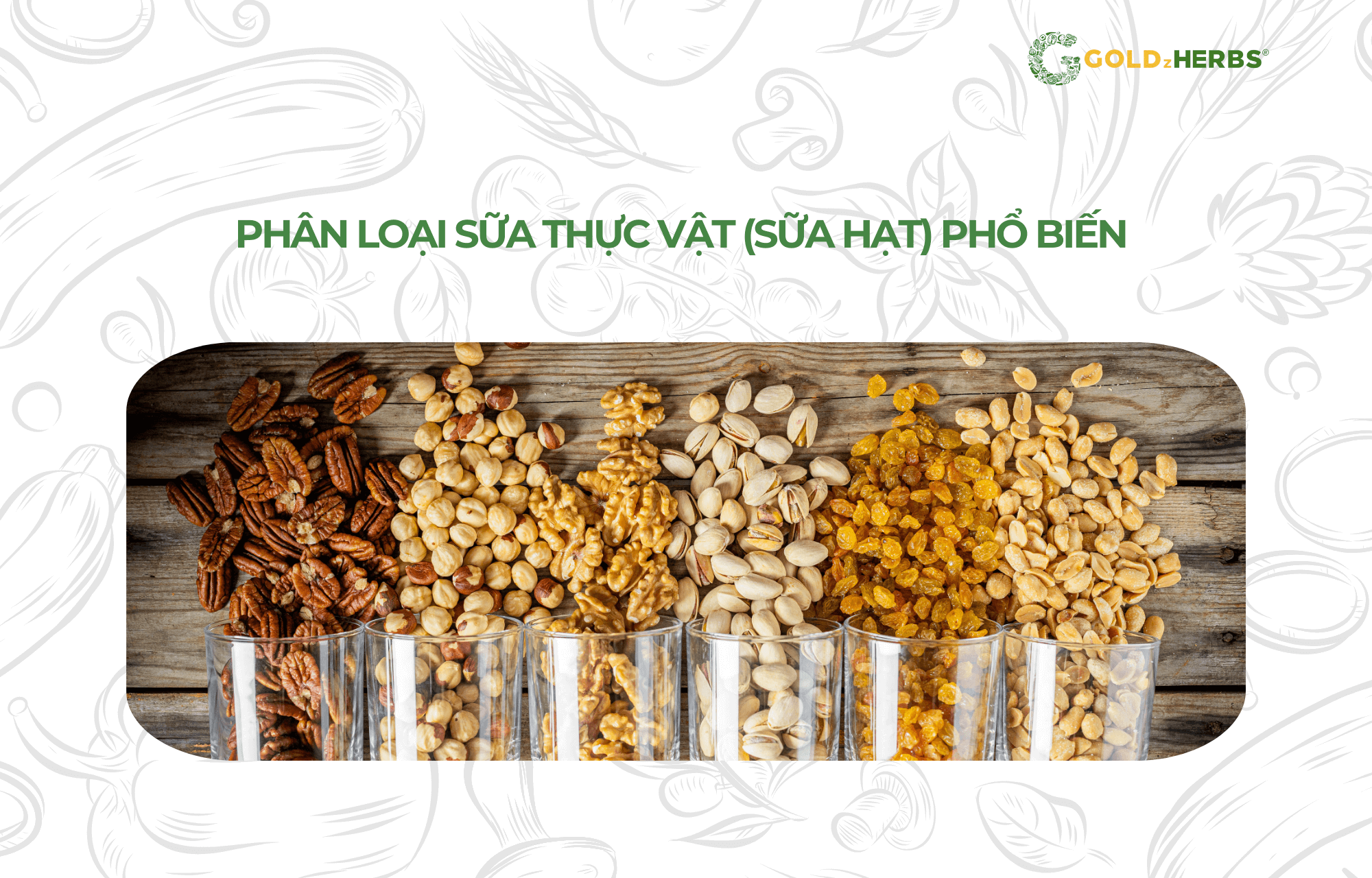 sua-thuc-vat-sua-hat-la-gi (2)