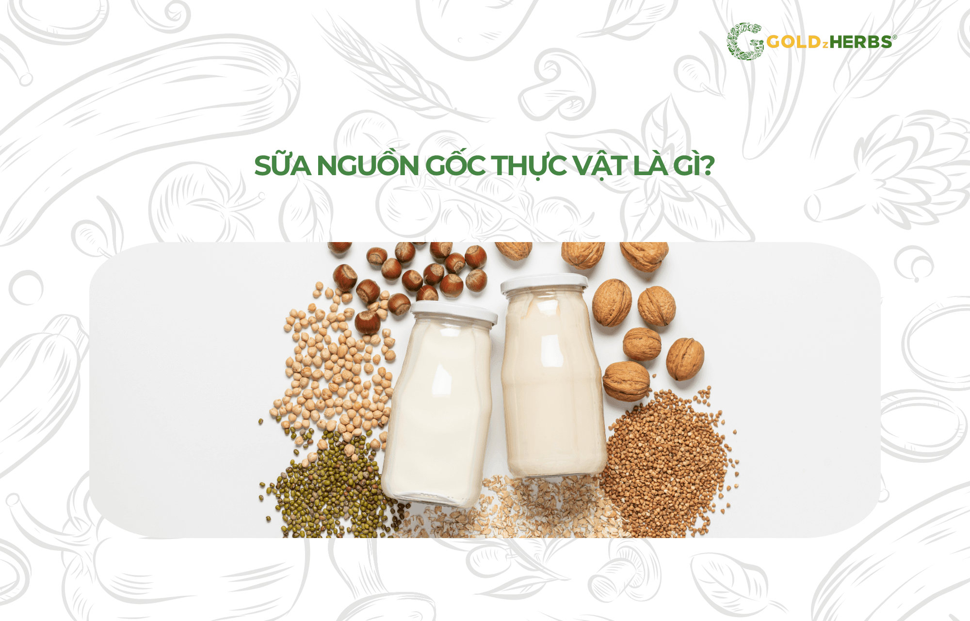 the-nao-la-sua-nguon-goc-thuc-vat (4)