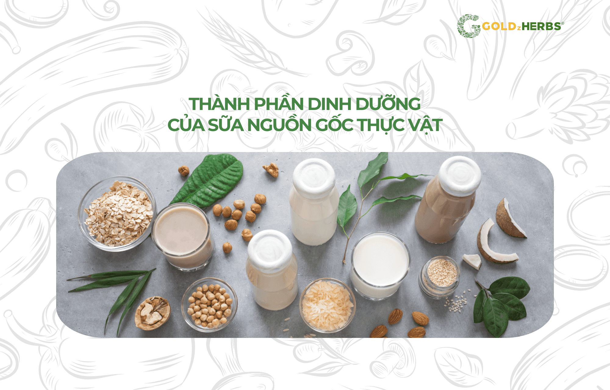 the-nao-la-sua-nguon-goc-thuc-vat (4)