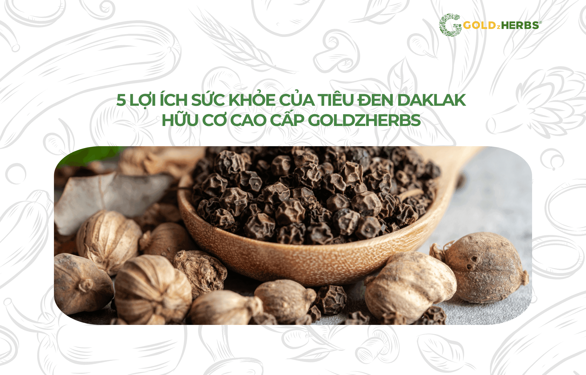 tieu-den-daklak-goldzherbs (1)