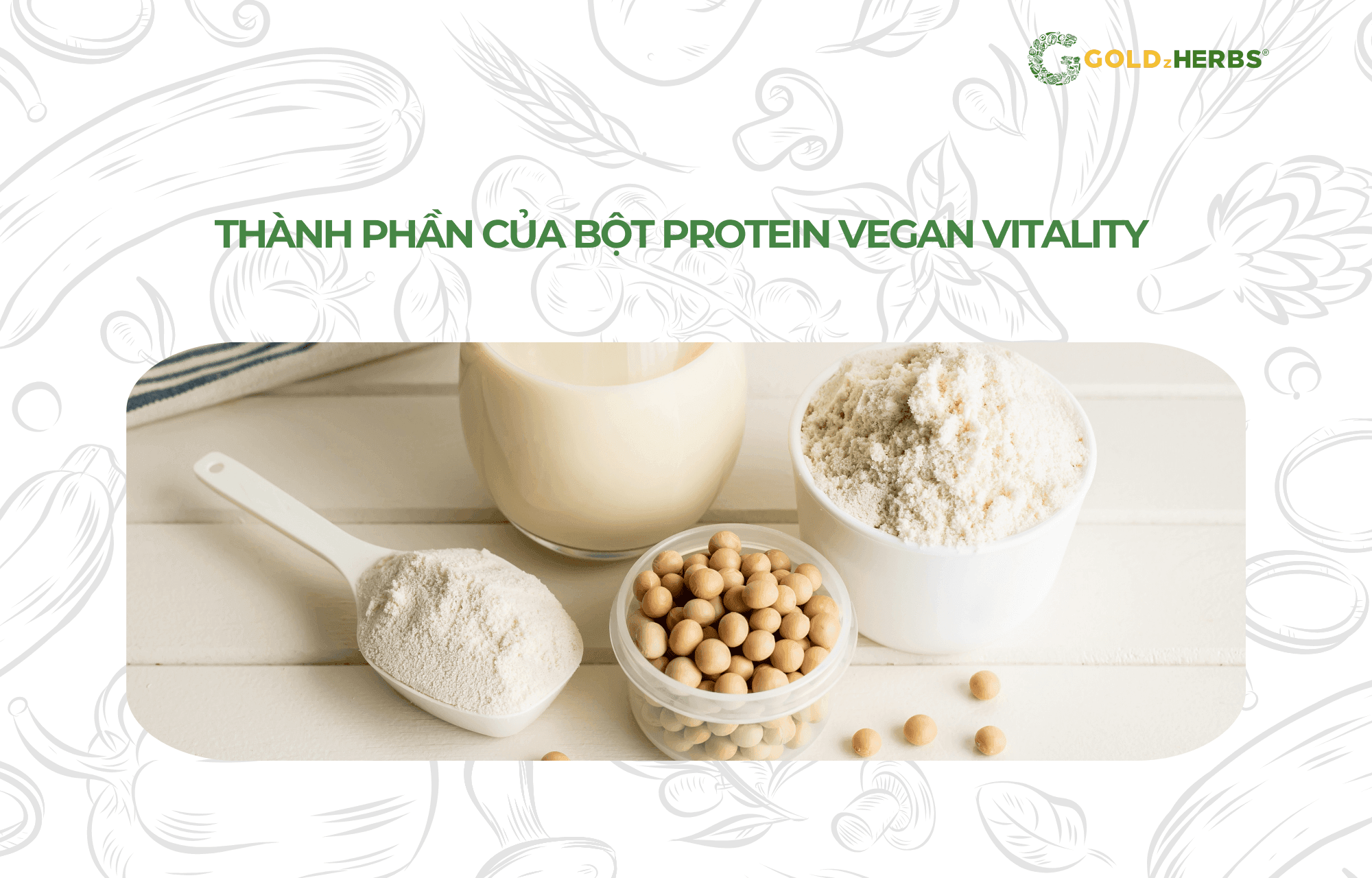 bot-Protein-Vegan-Vitality (4)