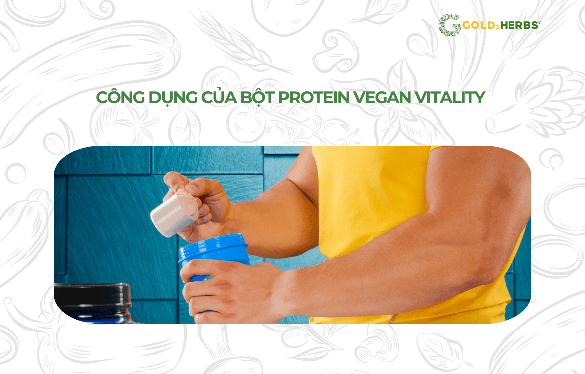 bot-Protein-Vegan-Vitality (4)